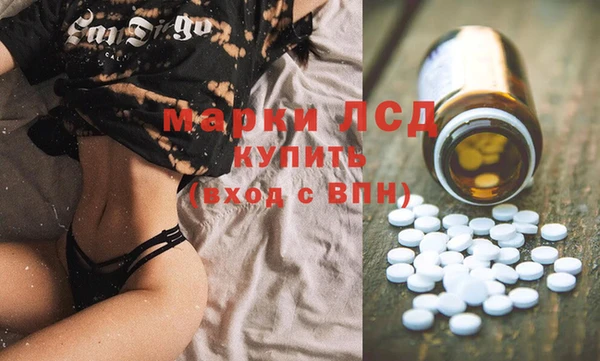 ECSTASY Бородино